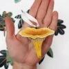 Chanterelle Hanging Ornament, Mushroom Decoration For Christmas Tree.