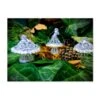 Silver Toadstool Christmas Decorations Set Of 3