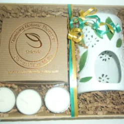 Christmas Botanical Wax Melt Gift Basket 10 Christmas Botanical Wax Melt Gift Basket -Christmas Homeware & Accessories Shop featureditemlargei 1793