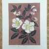 Christmas Rose - Linoprint