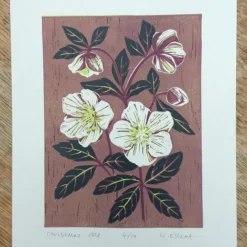 Christmas Rose - Linoprint