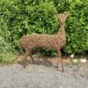 Willow Deer, Doe, Adult, Reindeer, Garden Sculpture, Christmas, Eco-friendly Art