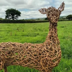Willow Deer, Doe, Adult, Reindeer, Garden Sculpture, Christmas, Eco-friendly Art -Christmas Homeware & Accessories Shop featureditemlargei 2201