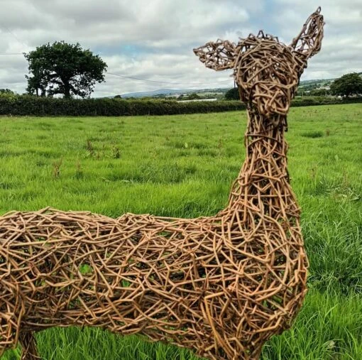 Willow Deer, Doe, Adult, Reindeer, Garden Sculpture, Christmas, Eco-friendly Art -Christmas Homeware & Accessories Shop featureditemlargei 2201
