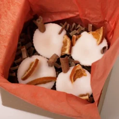 Christmas Botanical Wax Melts -Christmas Homeware & Accessories Shop featureditemlargei 231