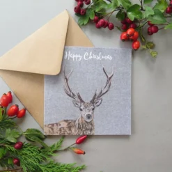 5 Christmas Cards - A Robin, Stag, Hare, Pheasant And Fox Card -Christmas Homeware & Accessories Shop featureditemlargei 2443