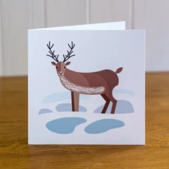 All Six Animal Christmas Cards, Winter Cards, Blank Inside -Christmas Homeware & Accessories Shop featureditemlargei 2500